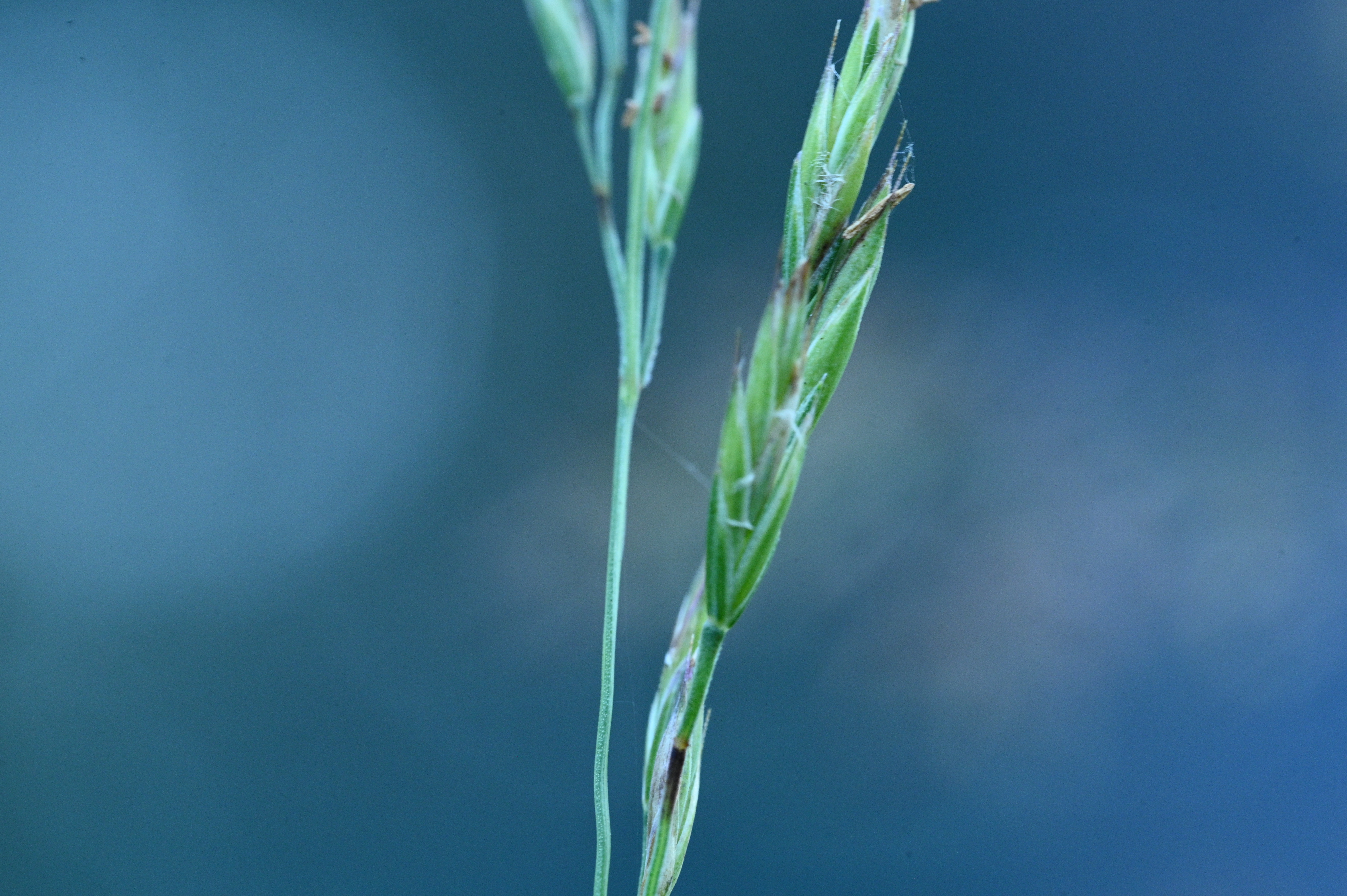 2025/07/09-14 - trip/DSC_0073.JPG